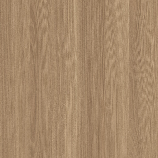 WS1005-5DK