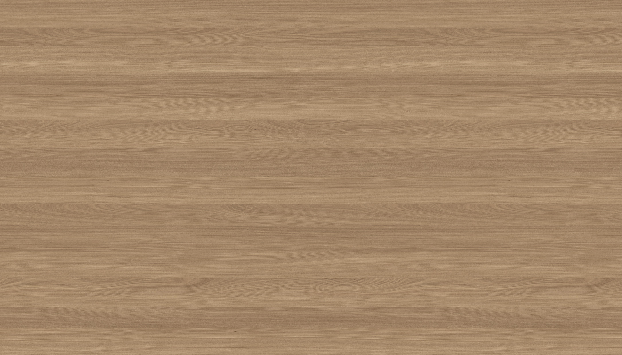WS1005-5DK